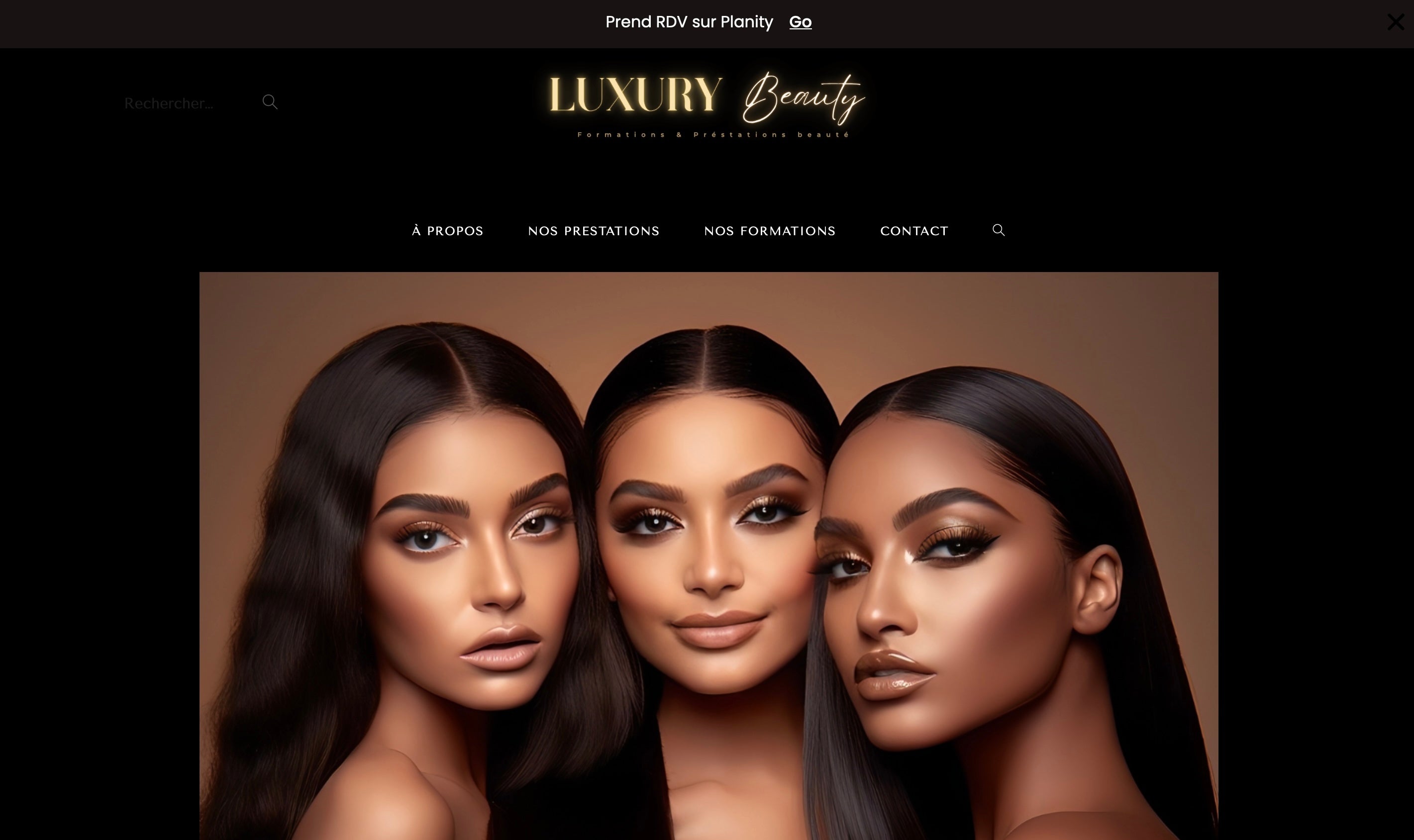 Site Vitrine élégant et visible